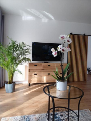 APARTAMENT DaViMa AQUAPARK Rumia - Novum, Rumia